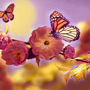 Meet your Posher, Aubrey